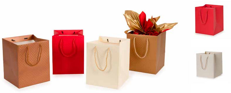 Shopper Star Natale 24 Brigitte Panettone Panna 20x20x25 10 pz.