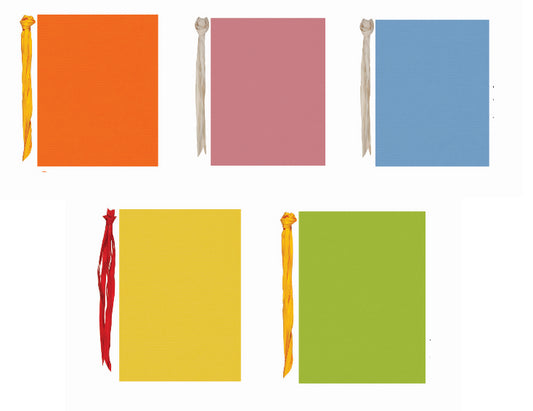 Sacchetto Sadoch con nastro in rafia ass. tinta unita 26x40 50 pz